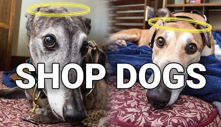 shop-dogs-cta-2021 image Shop Dogs